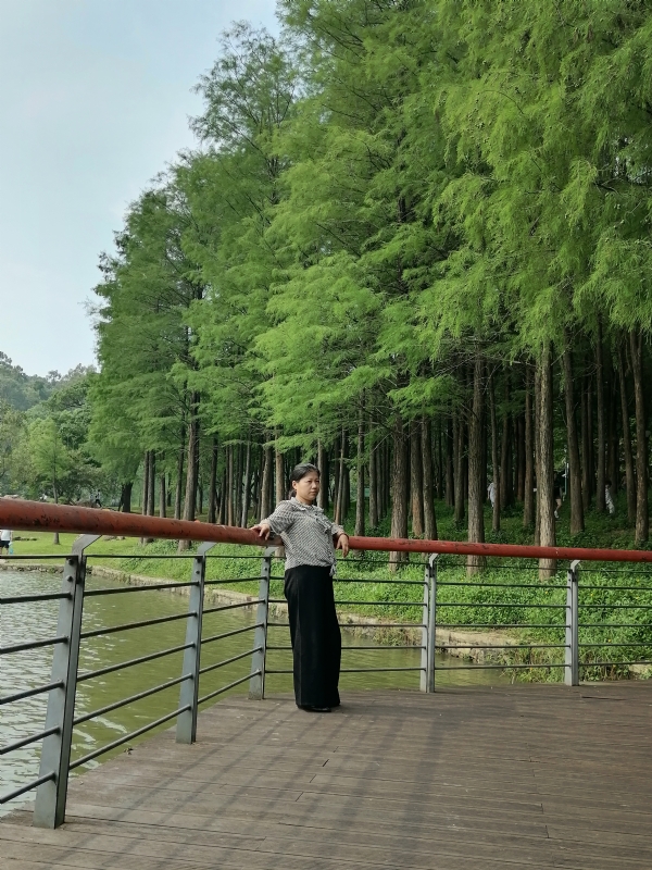 遗失的记忆的第二张照片--宜昌交友中心